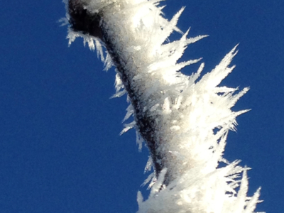 Nos vignes dans le Jura