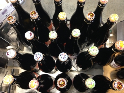 Notre vin bio dans le Jura