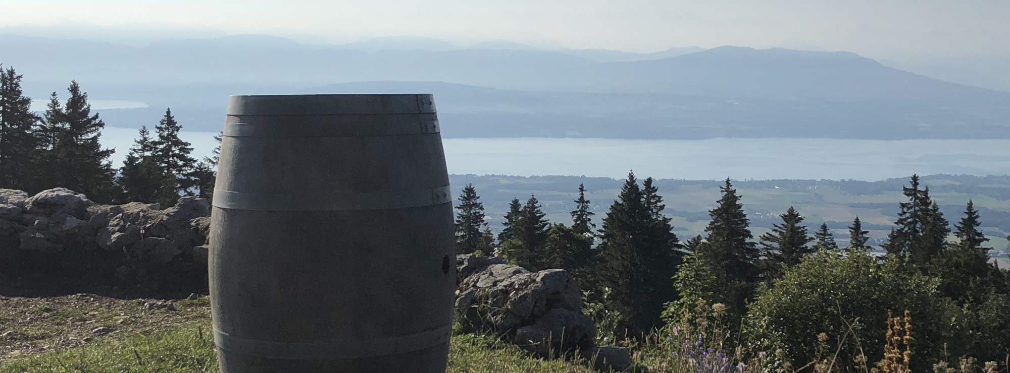 DES VINS EPANOUIS EN BIODYNAMIE DANS LE JURA